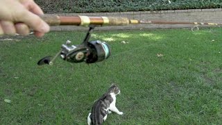 Cat Fishing - The Flying Cat 2 HD - Slow Motion Feline Aerobatics V20505