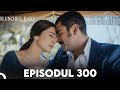 Unchiul Kara Episodul 300 Subtitrare în Limba Română 
