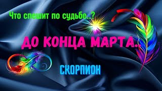 :   ..? ..?      2025Tar`o Ispirazione