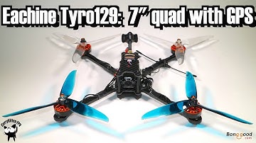 Eachine Tyro129.  A 7" build-it-yourself-quad with a GPS.  Supplied by Banggood