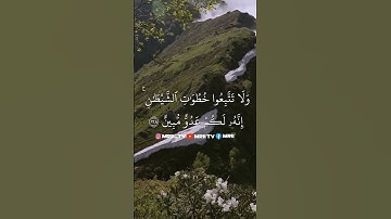 ماهر المعيقلي - سورة البقرة ( برواية حفص عن عاصم ) الأية 168 - 169
