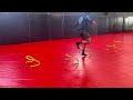 Staggered hurdle SL hop