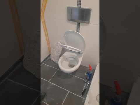 HIT!!! WC šolja