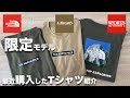 【別注Tシャツ】ノースフェイスのスポーツショップの限定Tシャツがおすすめの理由