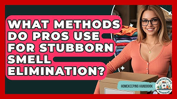 What Methods Do Pros Use For Stubborn Smell Elimination? - Homekeeping Handbook
