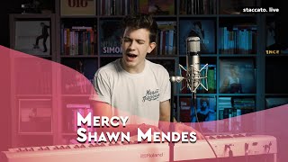 Shawn Mendes — Mercy (cover)