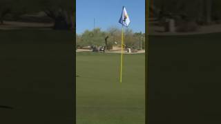 Flagstick for the SAVE ⛳