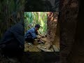 Building My Own Secret Refuge Inside a Tree in the Forest #wildlife #survival #camping #outdoors #yt