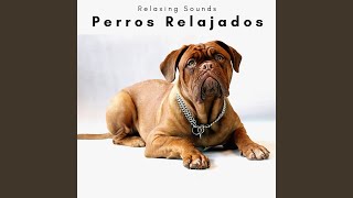Music of Hard Dog Relax