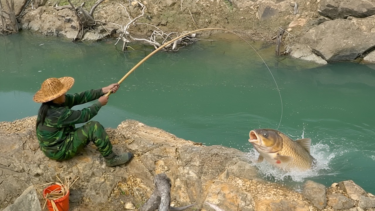 Fishing in the stream, gathering grasshoppers in the forest - Outdoor cooking, survival life