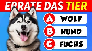 Errate 60 TIERE...! 🐶🐱 EINFACH bis UNMÖGLICH 🧠🤯 screenshot 2