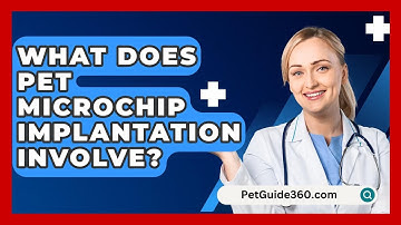 What Does Pet Microchip Implantation Involve? - PetGuide360.com