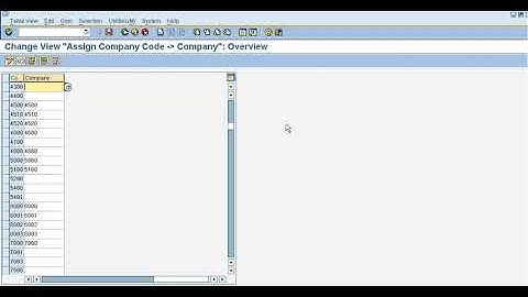 SAP FICO CONFIGURATION FROM COMPANY CREATION TO VOID REASON CODES