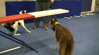 Ricochet -- The Beginning: Teeter Training