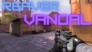 Buying Reaver Vandal From Night Market For Only 994 VP!