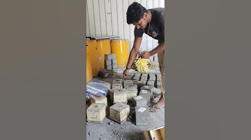 My First Vlog | Starting My Vlogging Journey in 2025!