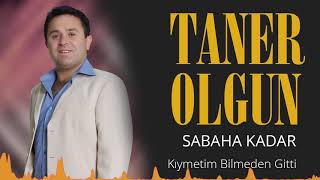 Taner Olgun - Kıymetin Bilmeden Gitti Resimi