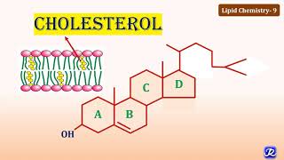 9: Cholesterol: Structure & Functions | Lipid Chemistry-9 | Biochemistry | N'JOY Biochemistry