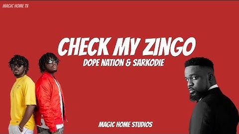DopeNation Check My Zingo Remix (ft Sarkodie) (lyrics video)