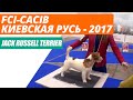 Выставка собак FCI-CACIB "Киевская Русь - 2017". Джек Рассел Терьер