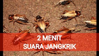 sound effect cricket - 2 menit suara jangkrik