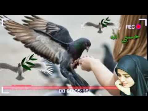 انه الملي خلك وناسس بطران شعر حزين 2019