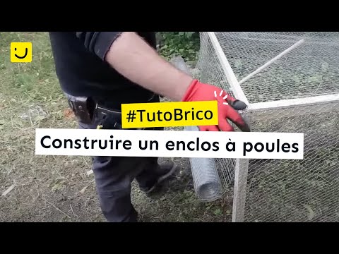 Construire Un Enclos à Poules Oorekafr