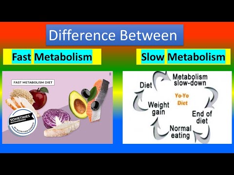 Difference between Fast Metabolism and Slow Metabolism
