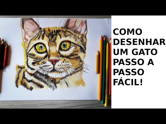 Como desenhar um Gato siamês - PASSO A PASSO - narrado 