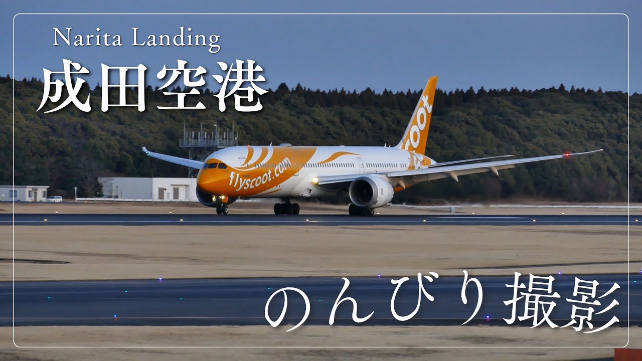 2026年3月 東雲の丘でのんびり撮影