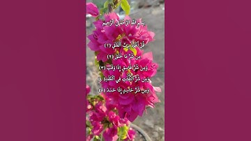 سورة الفلق ❤️عبدالباسط عبدالصمد رحمة الله ❤️😘🥰