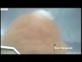 BBC News Oil workers film tornado in North Dakota