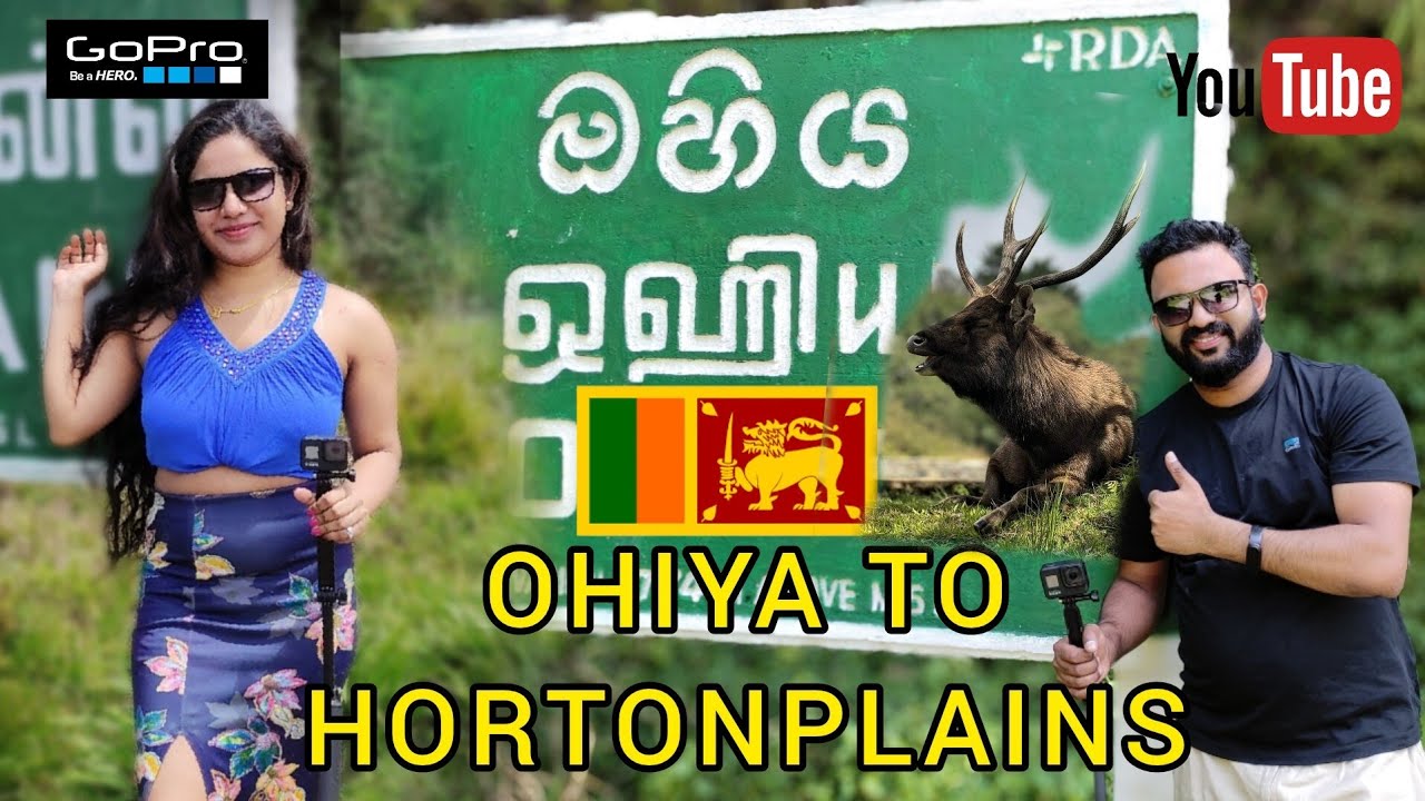 Ohiya to  Hortain plains National Park  | ඔහිය හරහා හෝටන්තැන්නට | Horton plains |Ohiya sri lanka