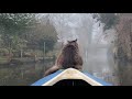 Surprise: Fog in March. Louis enjoys his morning kayaking.