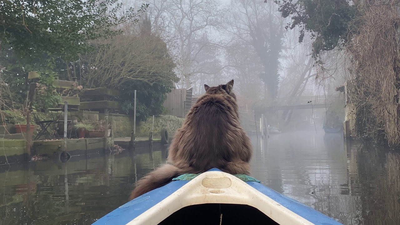 Surprise: Fog in March. Louis enjoys his morning kayaking.