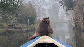 Surprise: Fog in March. Louis enjoys his morning kayaking (4 K High Video quality)
