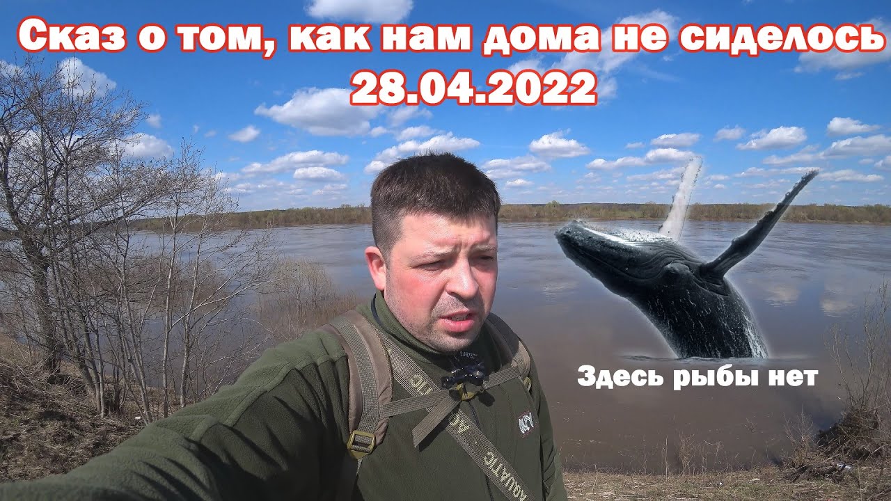 Состояние оки на сегодня