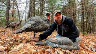 How To Get Turkeys Under 10 Yards: Decoy Placement by Jase Outdoors 21,812 views 1 year ago 9 minutes, 12 seconds