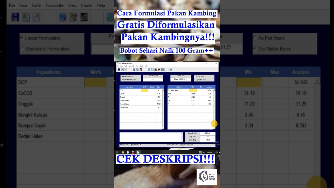 Cara Formulasi Pakan Kambing Pedaging 