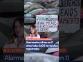 Ni Una Menos: en 11 años hubo 3205 femicidios registrados