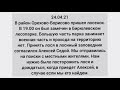 Поиски лосенка в Орехово-Борисово 24.04.21