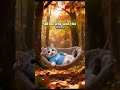 Cat alone in the Autumn Forest 🍁😿 #shorts #cat