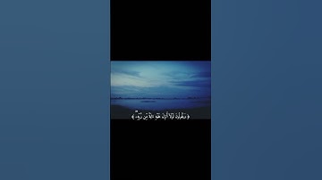 وَمَا كَانَ النَّاس إِلَّا أُمَةً وَاحِدَةً فَاخْتَلَفُوا||تلاوة مريحة بصوت القارئ عبد الرحمن مسعد💗🌿