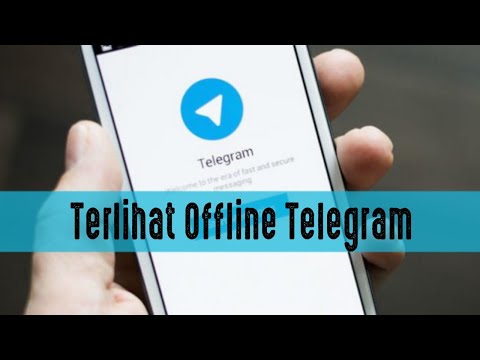 Cara Agar Tidak Terlihat Online Di Telegram