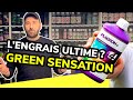 Prsentation  plagron green sensation dosage composition etc