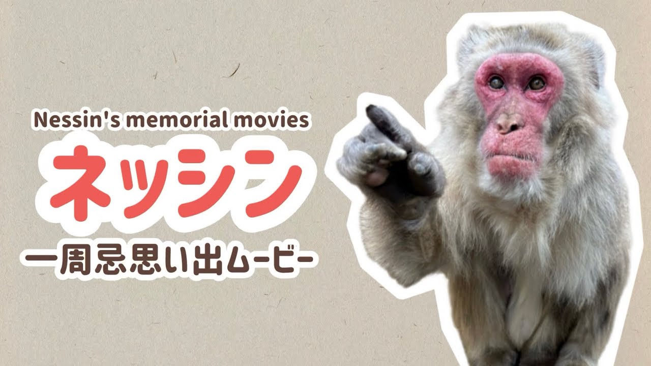 高尾山さる園】ネッシン一周忌思い出ムービー/Nessin's memorial - YouTube