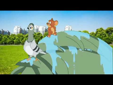 Tom and Jerry colour Screen🧡 | Green Screen Cartoon | Green Screen Cartoon video 💥 #jerry #cartoon 💫 Tom and Jerry colour Screen🧡 | Green Screen Cartoon | Green Screen Cartoon video 💥 #jerry #cartoon 💫