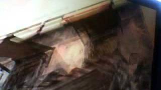 Capture 20091007 1
