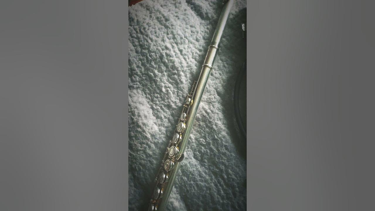 醉夢— Lin Hai cover the untamed ost     #music #https #flute #theuntamed #wangxian #intrumental #viral