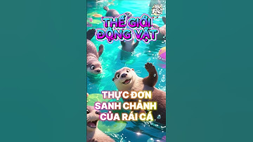 BẠN CÓ BIẾT Đồ Ăn Của RÁI CÁ như "NHÀ HÀNG 5 Sao" | Thế Giới Động Vật